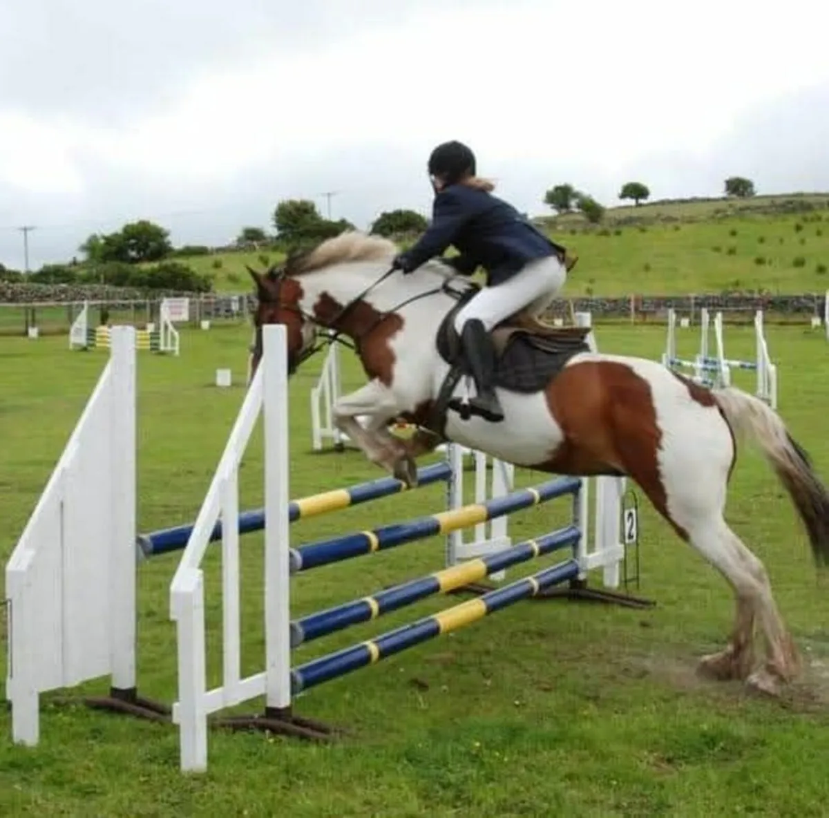 Absolute jumping machine - Image 1