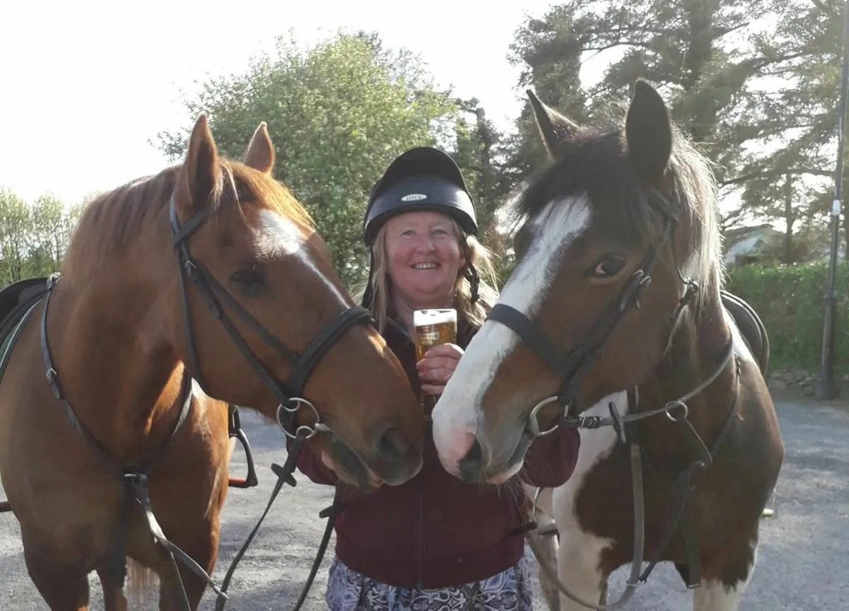 Absolute jumping machine - Image 2