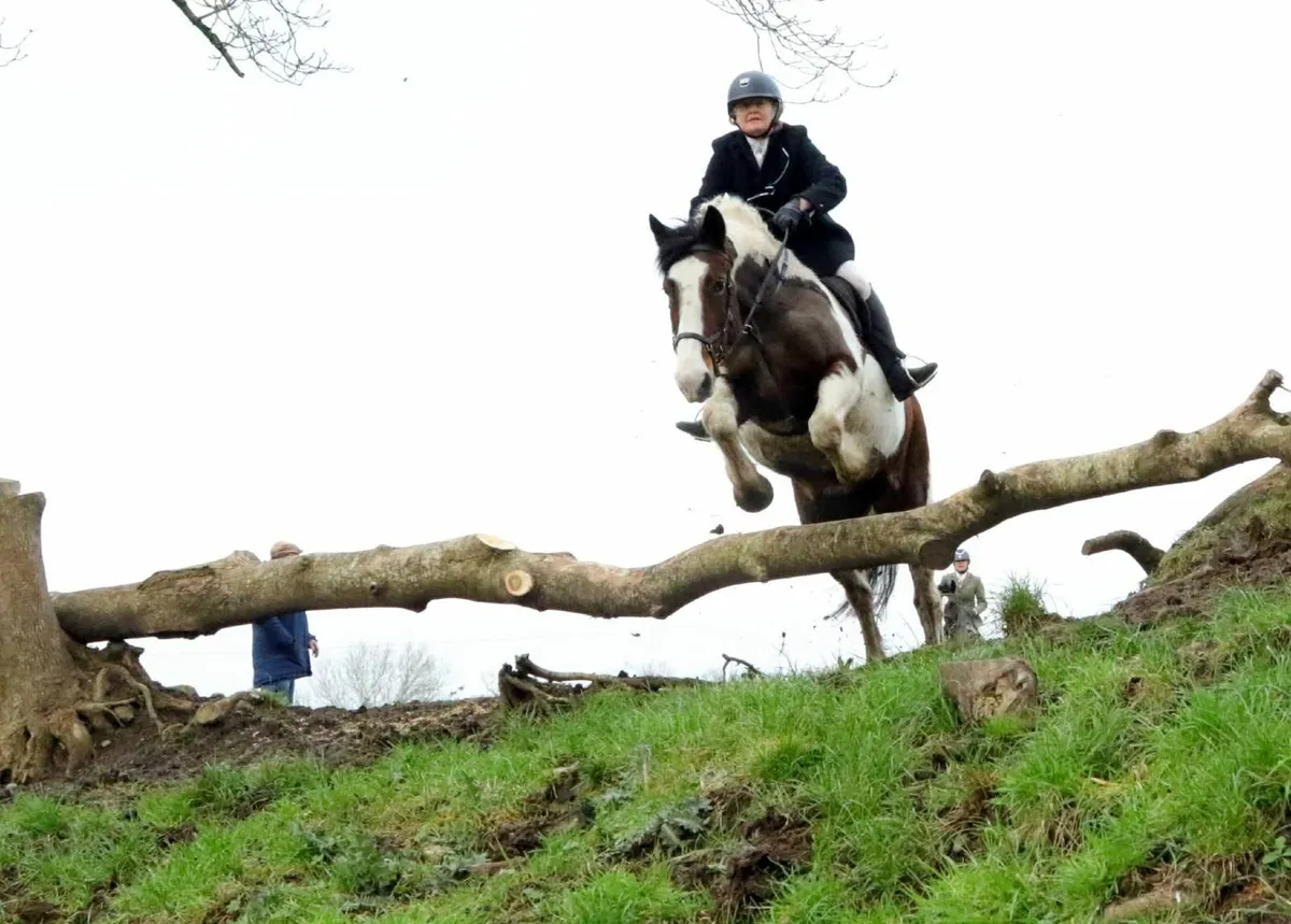 Absolute jumping machine - Image 4