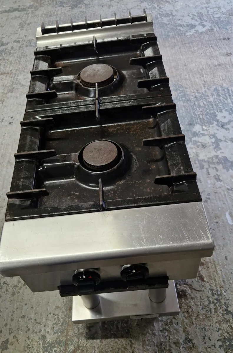 2 ring comercial gas fire - Image 3