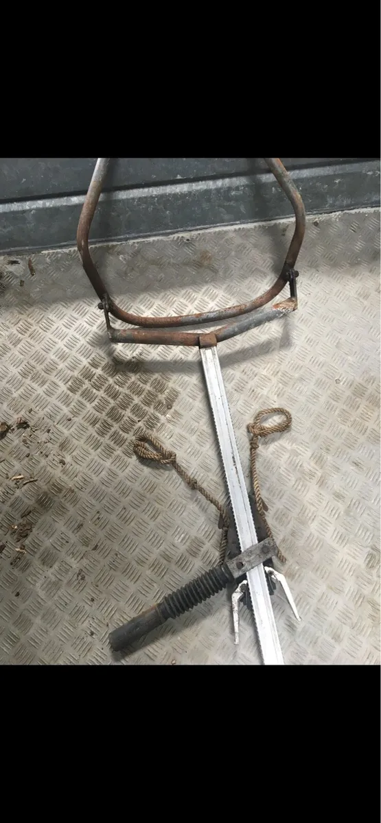 Calving Jack - Image 1