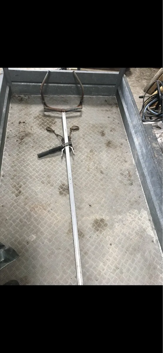 Calving Jack - Image 2