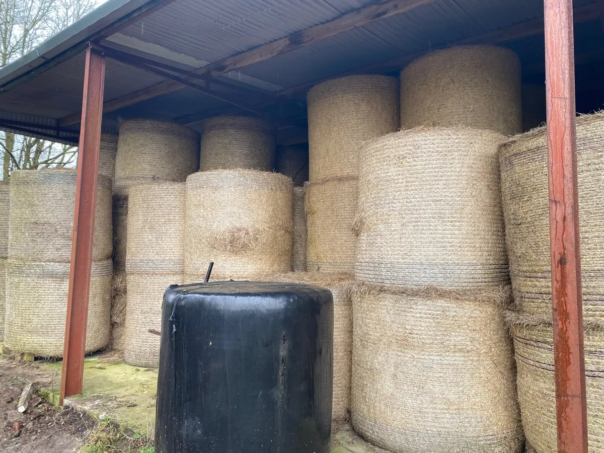 Organic Hay Bales