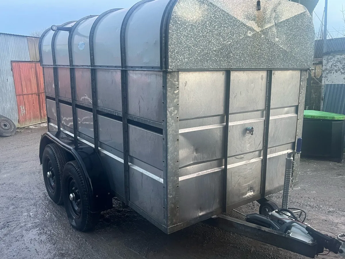 10 x 6 Murphy Cattle Trailer - Image 1