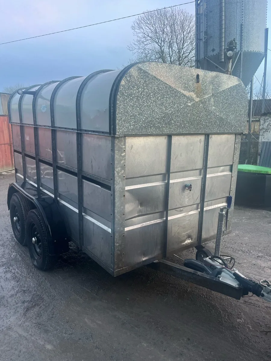 10 x 6 Murphy Cattle Trailer - Image 2