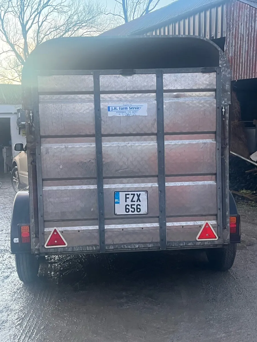 10 x 6 Murphy Cattle Trailer - Image 3