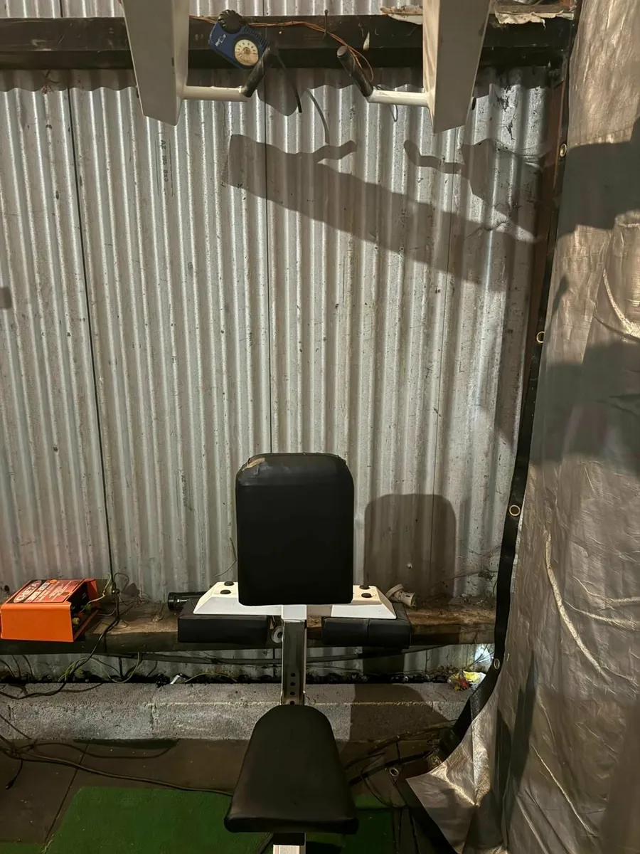 Heavy Duty Plate-Loaded Iso-Lateral High Row - Image 3