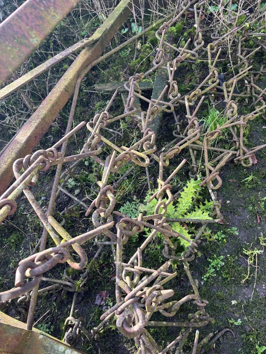 chain harrow - Image 3