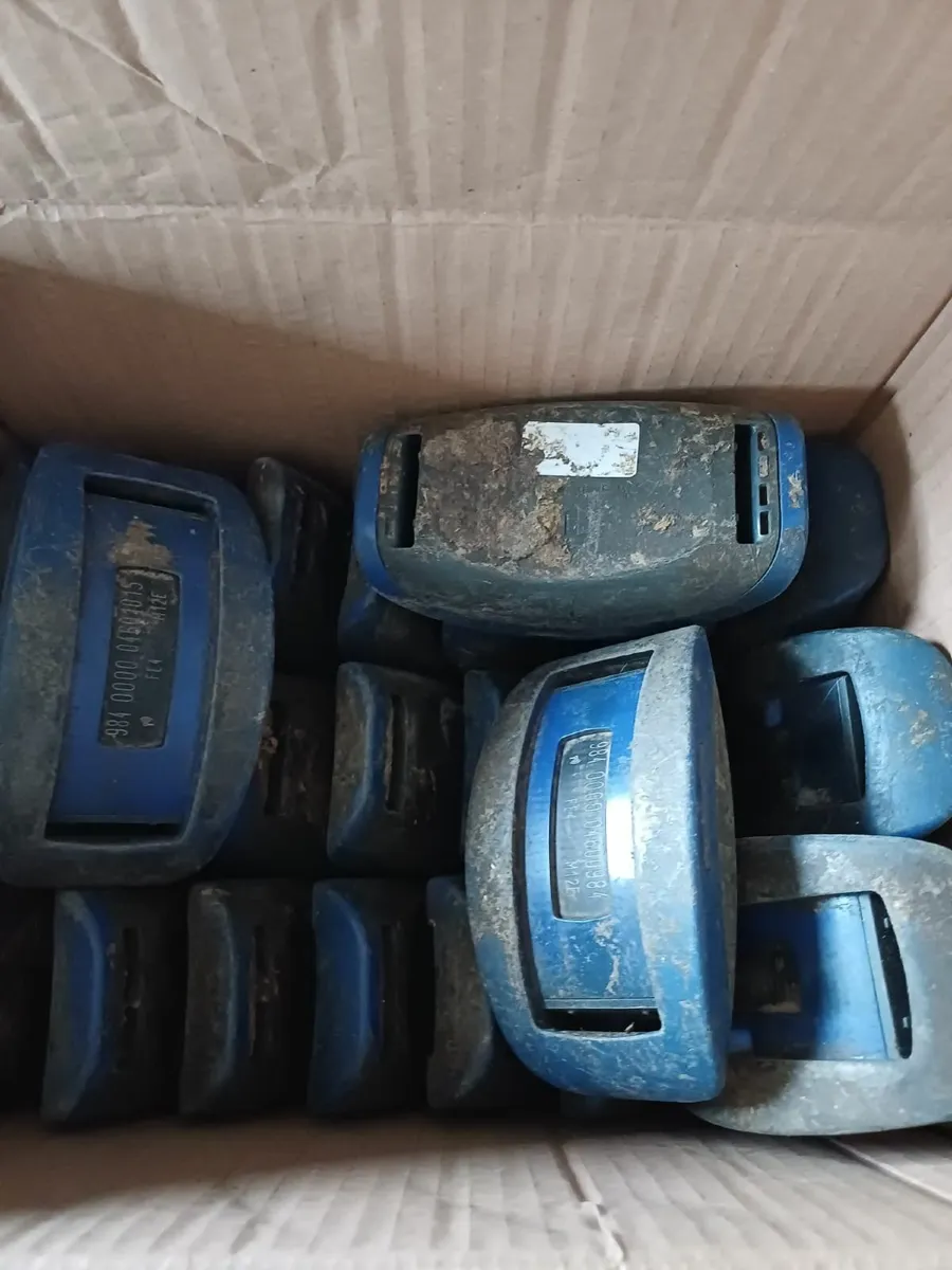 Cow Collars - Image 1