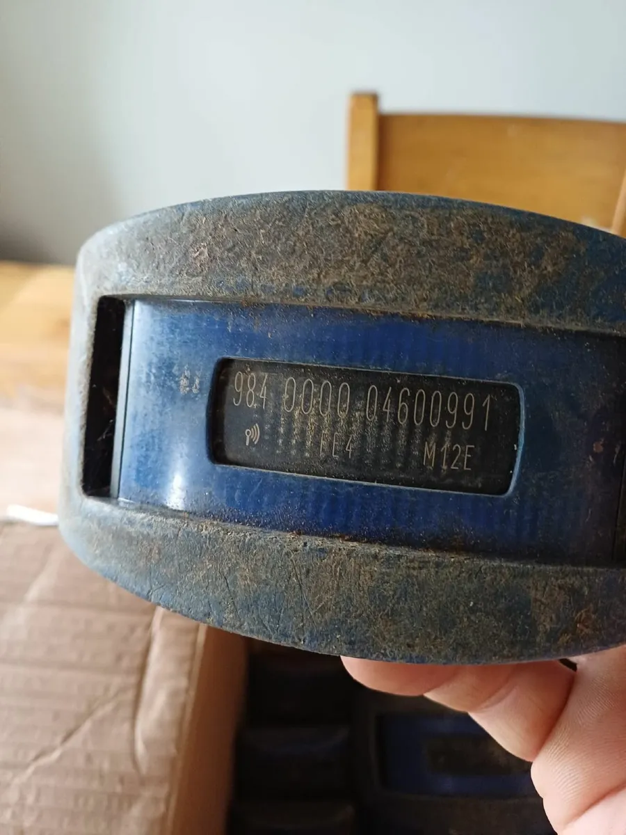 Cow Collars - Image 3