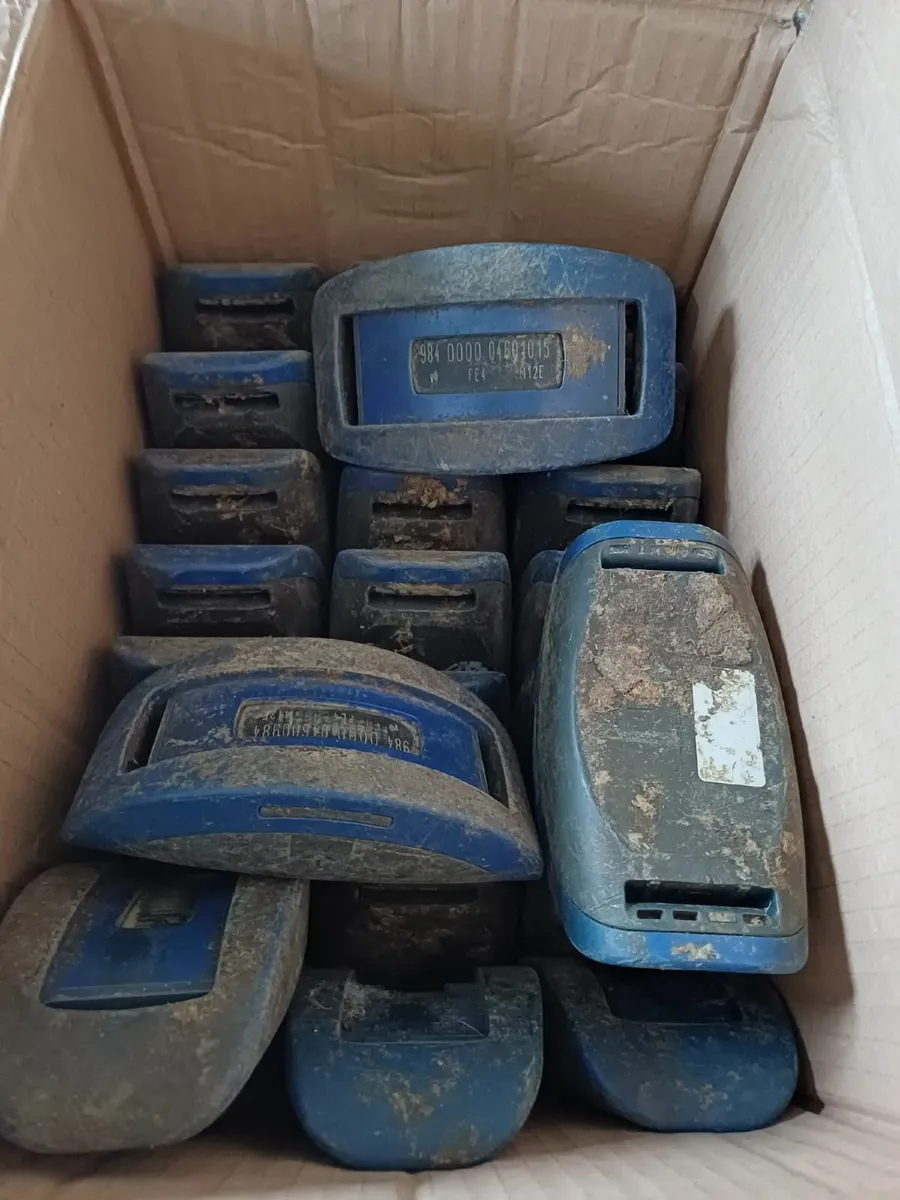 Cow Collars - Image 2