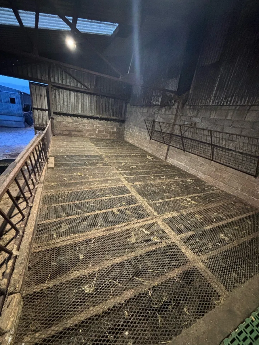 Timber Mesh Sheep Slats - Image 2