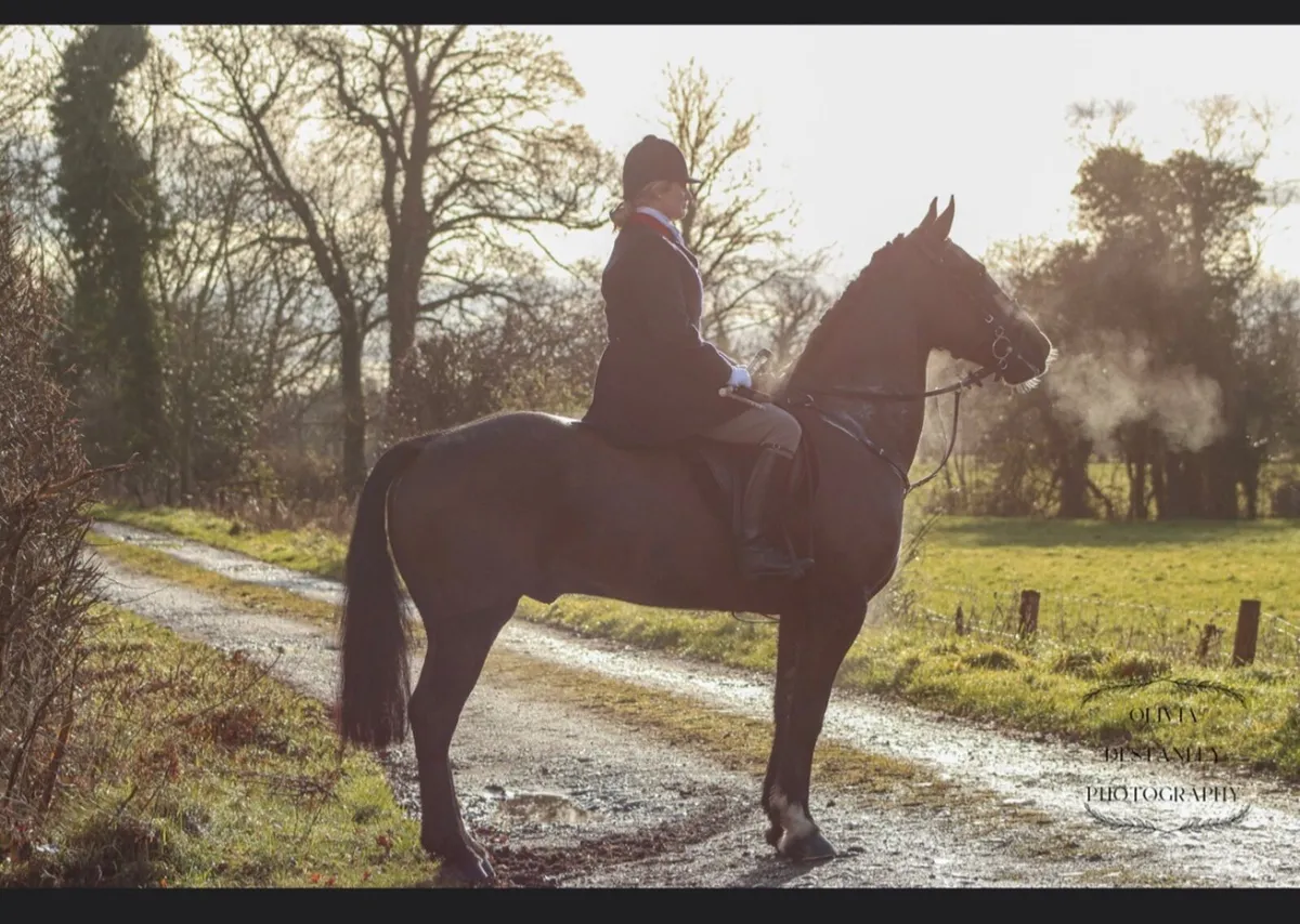 Barney 🖤 - Image 1