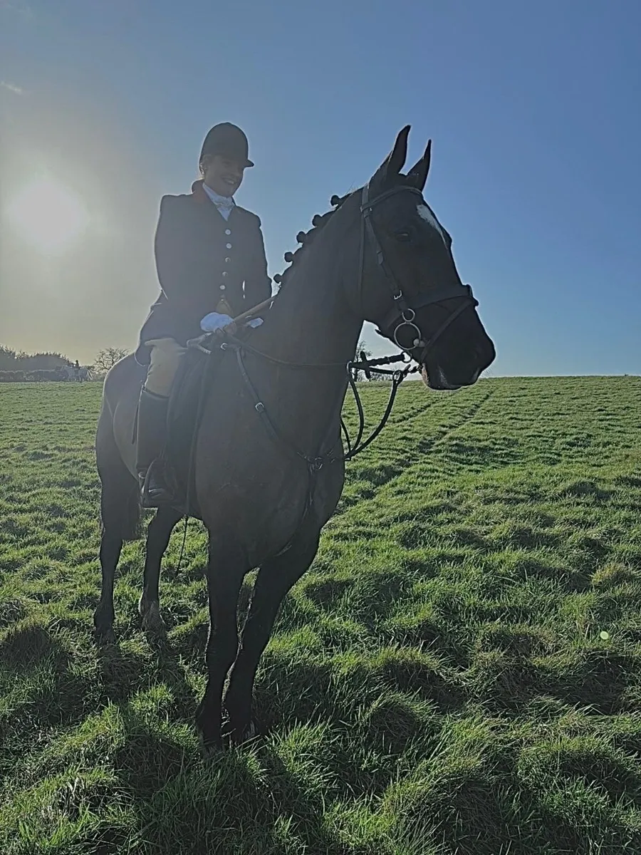 Barney 🖤 - Image 4