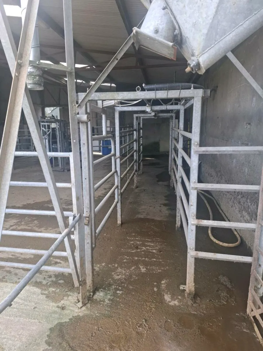 Drafting gate - Image 2