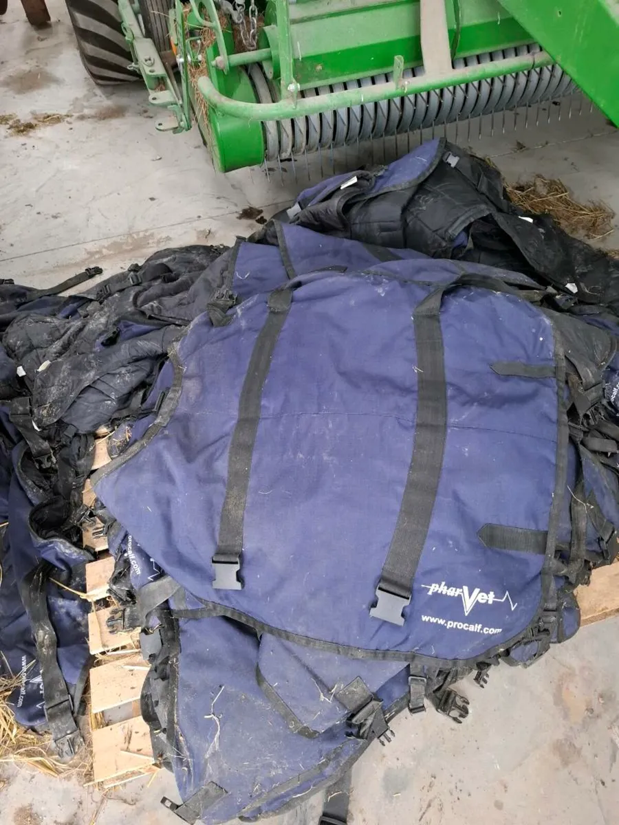 Calf jackets - Image 1