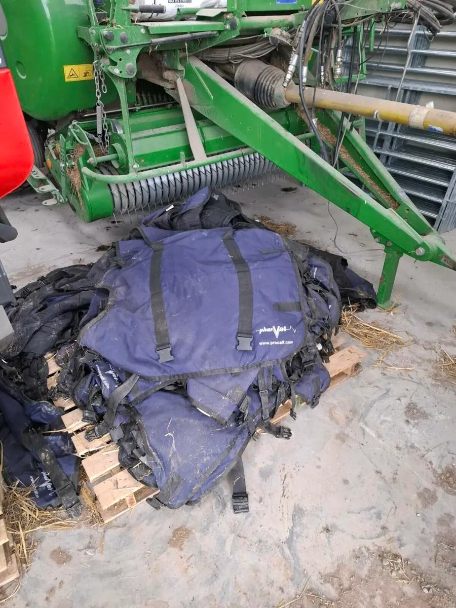 Calf jackets - Image 2