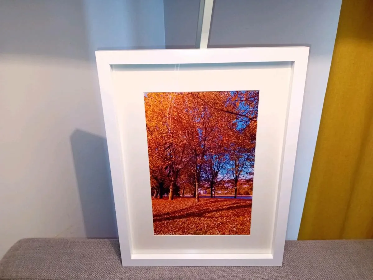 The Marina, Cork - Image 1