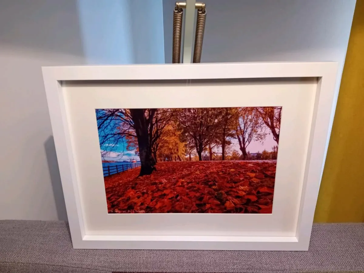 The Marina, Cork - Image 2