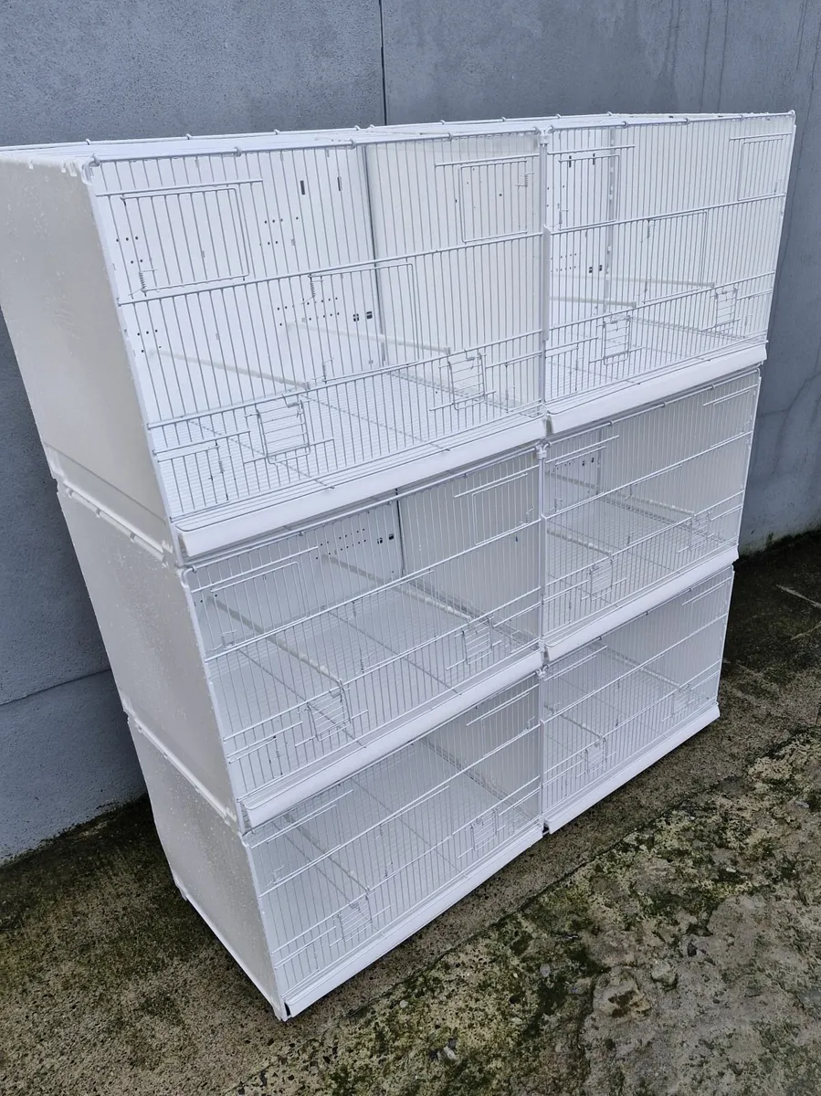 Bird Cages - Image 1