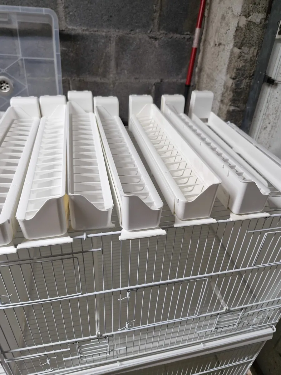 Bird Cages - Image 2