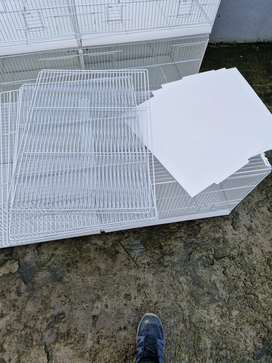 Bird Cages - Image 3