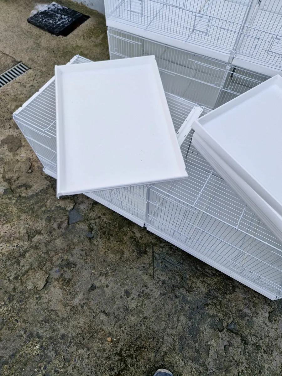 Bird Cages - Image 4