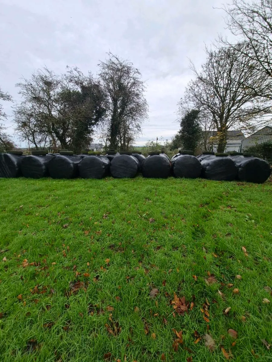 Bales of silage - Image 2