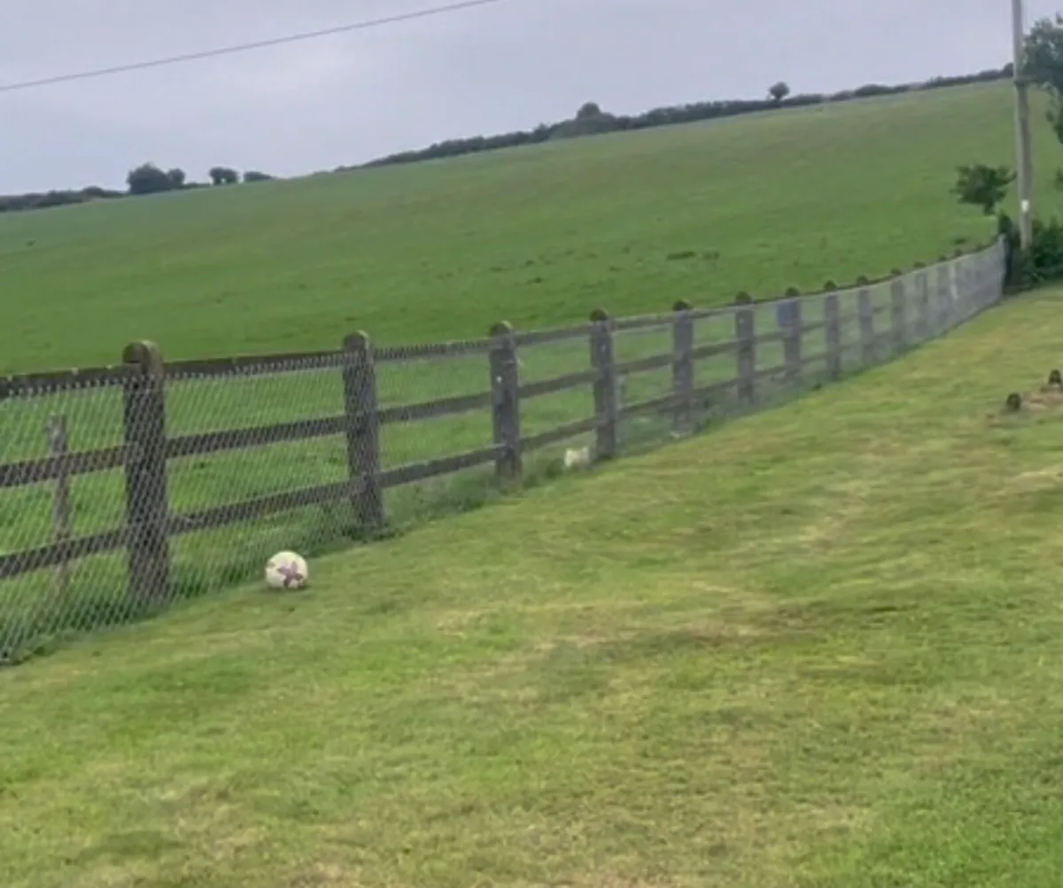 Fencing services - Image 2