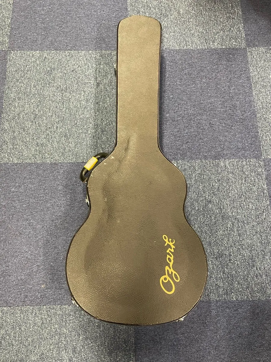 Ozark Acoustic Guitar Hardcase - Image 1
