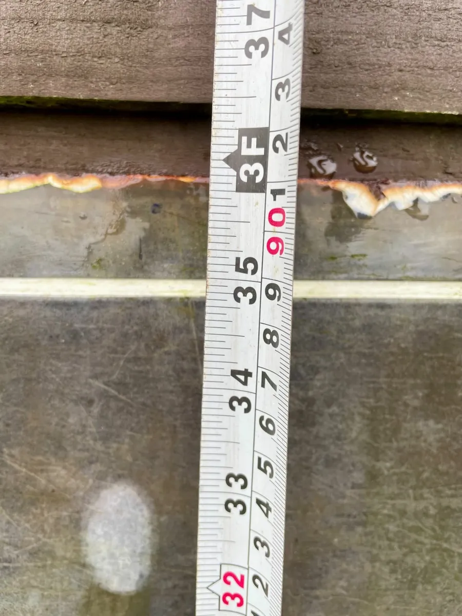 1950s NEWS OF THE WORLD enamel sign 6ft - Image 4