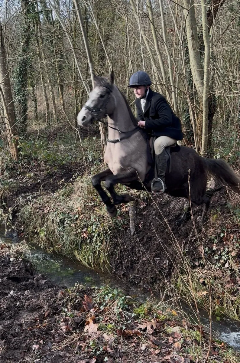 15.1 Connie X - Image 3