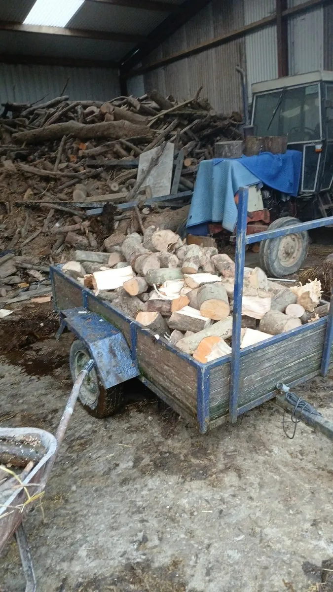 Trailer loads of seasoned hardwood firewood - Image 1