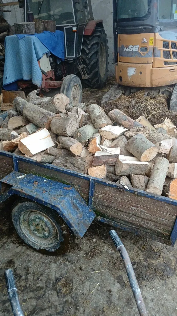Trailer loads of seasoned hardwood firewood - Image 2