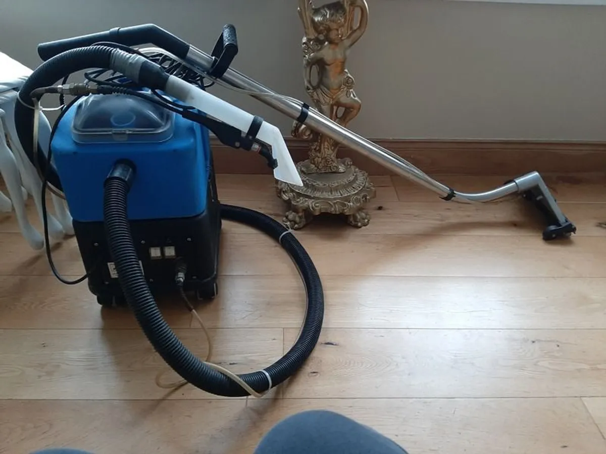 Professional carpet cleaner - Image 1