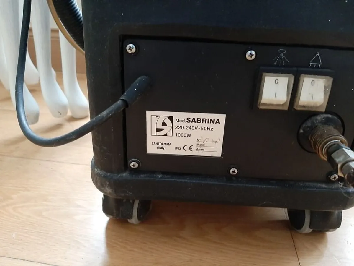 Professional carpet cleaner - Image 2