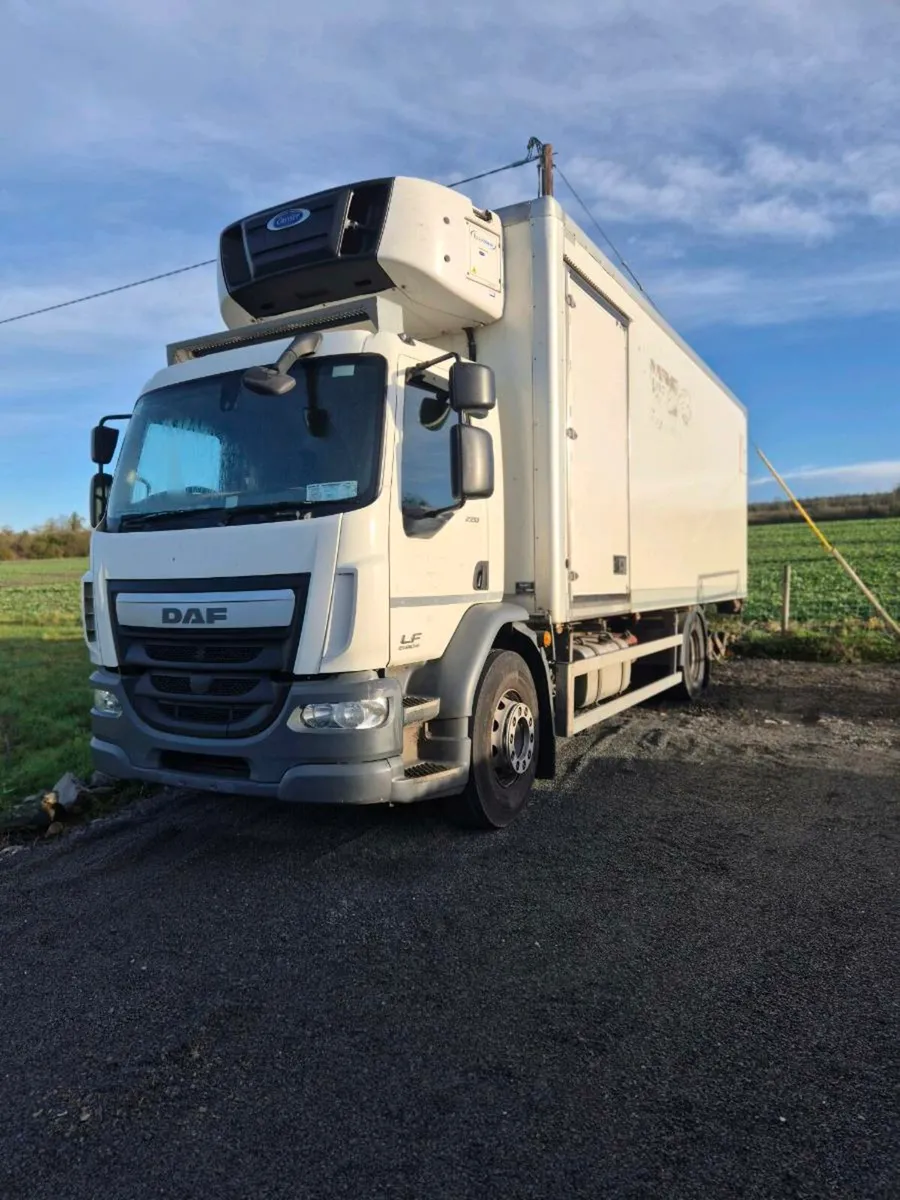 Daf 55lf 220 - Image 1