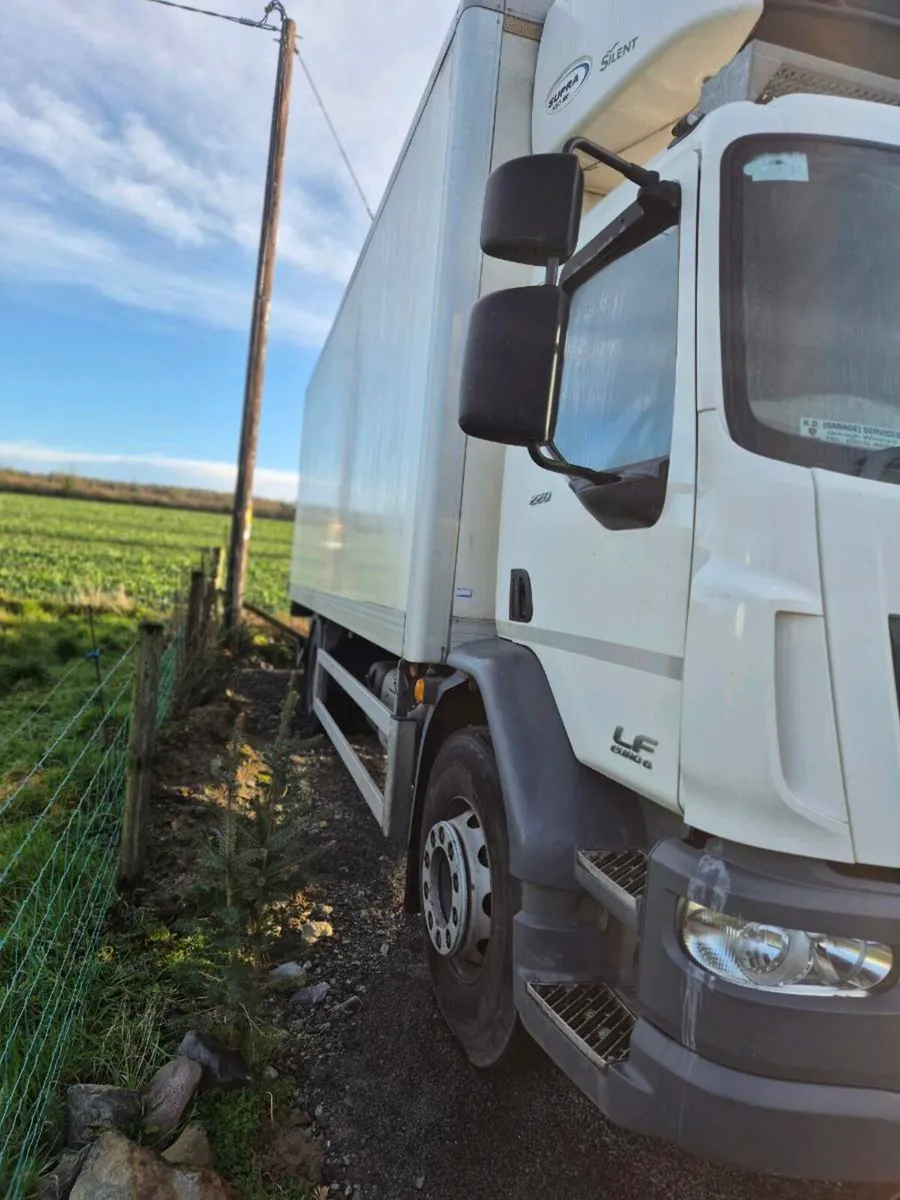 Daf 55lf 220 - Image 2