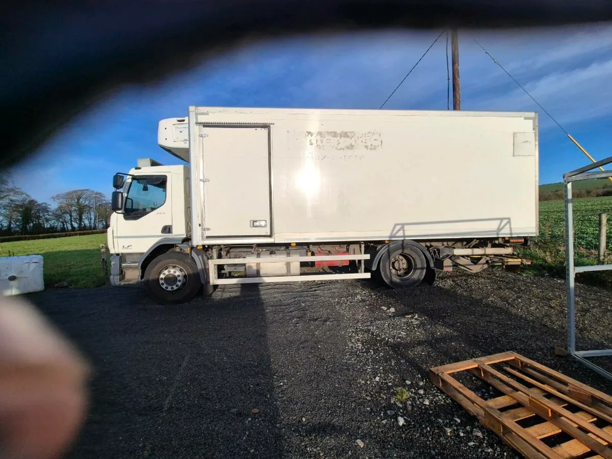 Daf 55lf 220 - Image 3