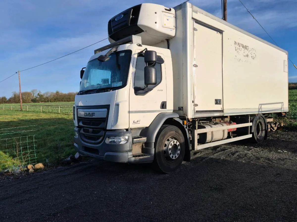 Daf 55lf 220 - Image 4