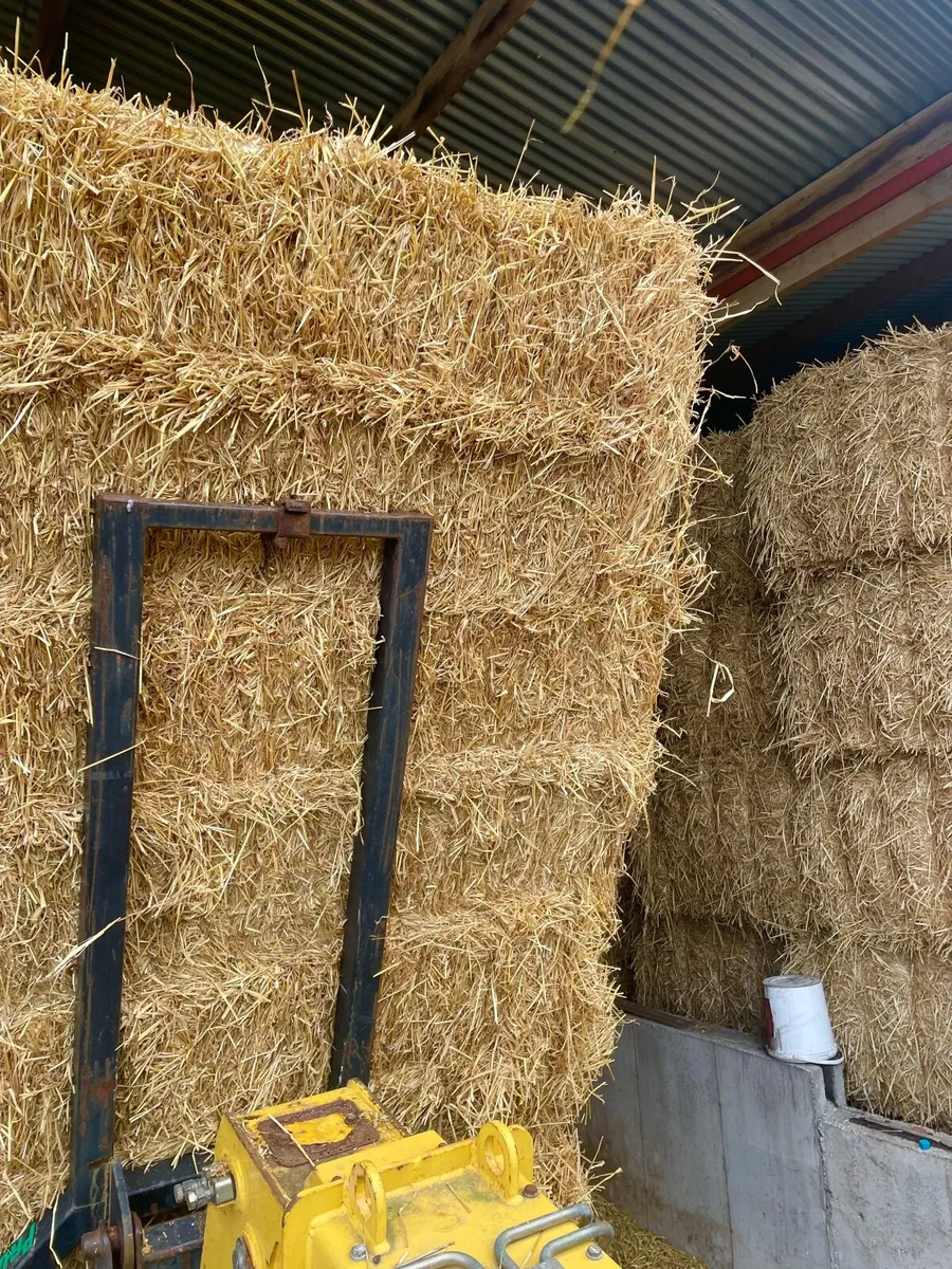 Barley Straw for Sale - Image 1