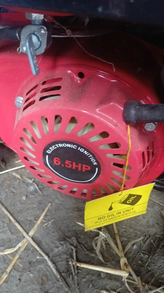 2 stihl chainsaws and consaw - Image 2