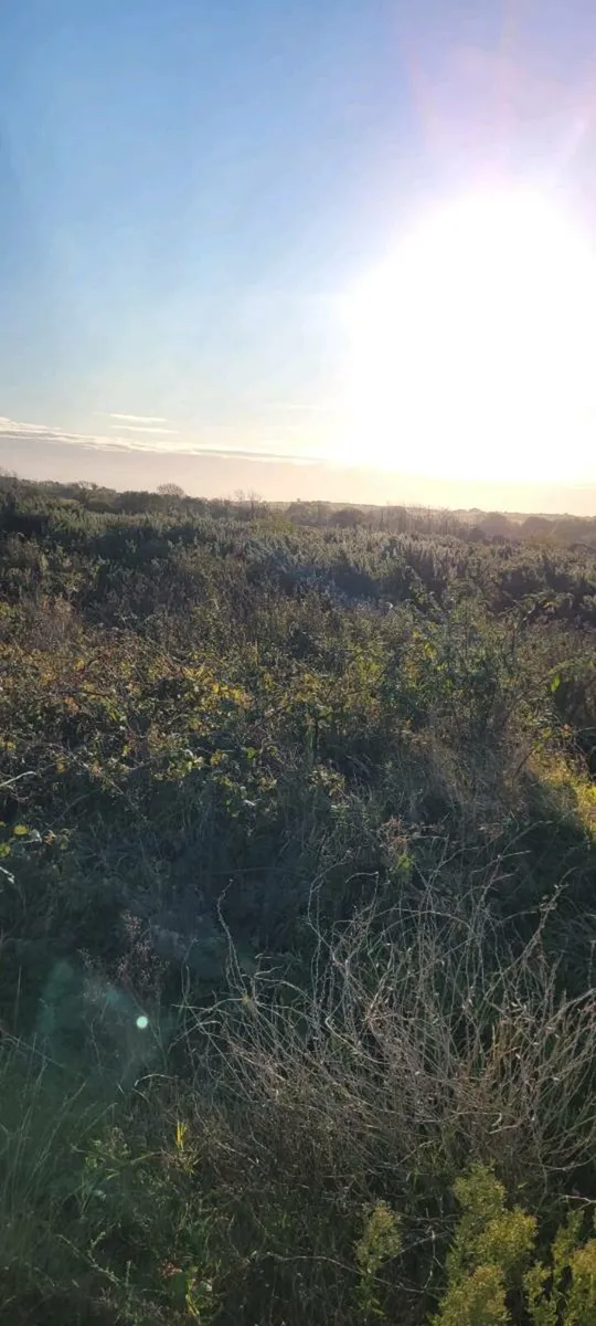 Flail and digger hire - Image 2