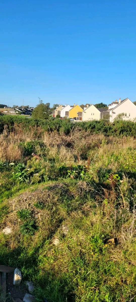 Flail and digger hire - Image 3