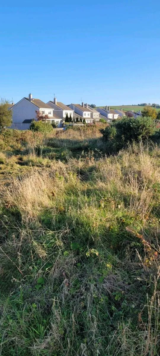 Flail and digger hire - Image 4