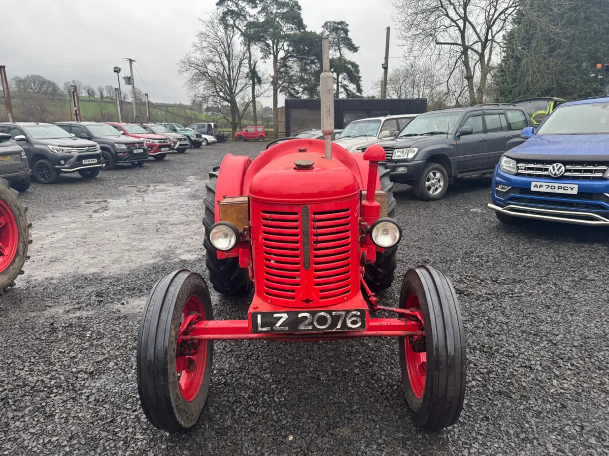1950 David Brown Crop Master - Image 4