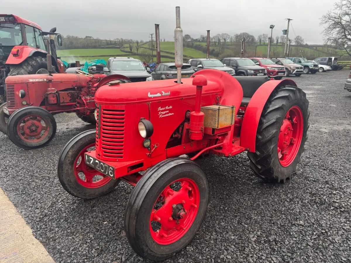 1950 David Brown Crop Master - Image 1