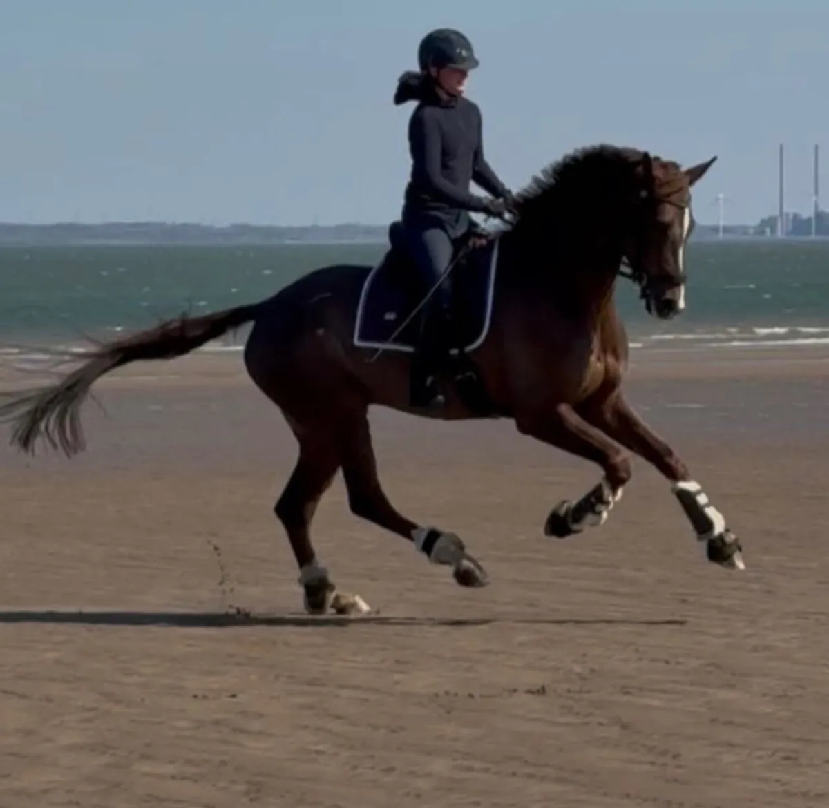 Schooling  & Sales Livery for Ponies & Horses - Image 4