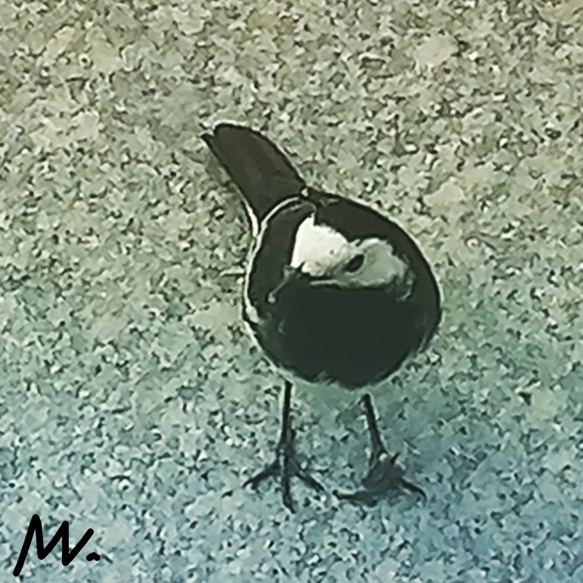 Landscape prints. - Image 1