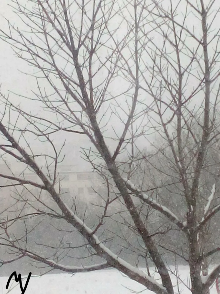 Landscape prints. - Image 3